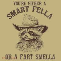 YouRe Either A Smart Fella Or A Fart Smella Funny Raccoon T-Shirt thumb 7