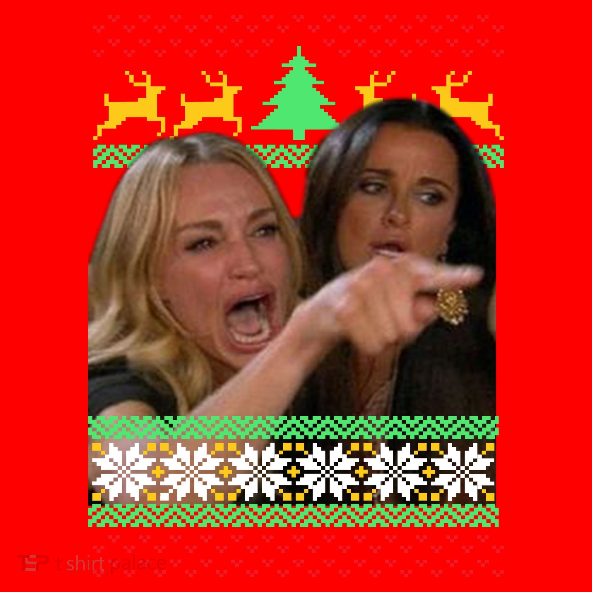 Yelling At A Cat Ugly Christmas Sweater Meme Santa Hat