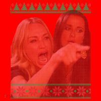 Yelling At Cat Meme Funny Ugly Christmas Santa Hat thumb 1