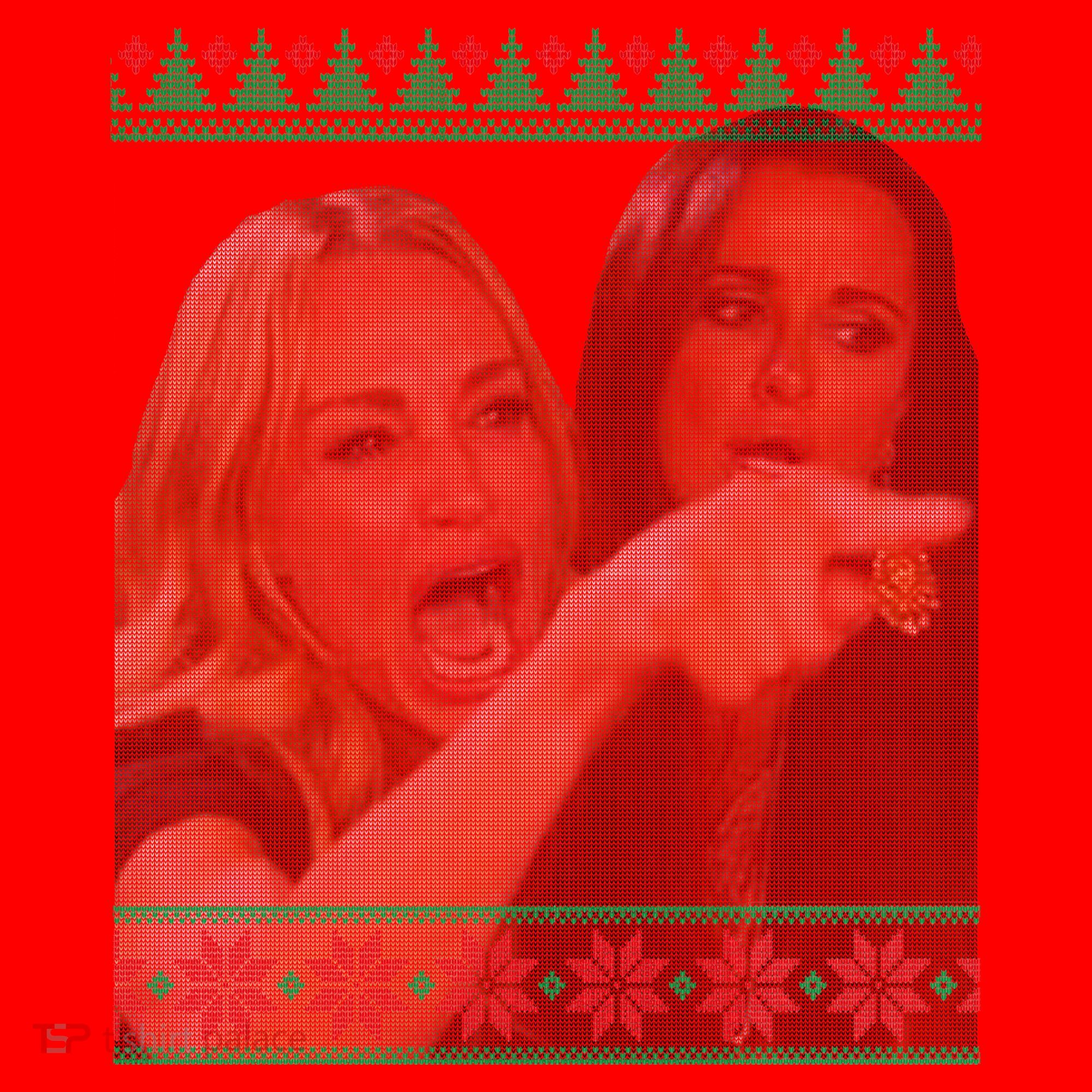 Yelling At Cat Meme Funny Ugly Christmas Santa Hat