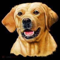 Yellow Lab Coffee Mug thumb 5