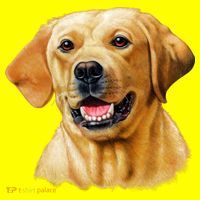Yellow Lab Hat thumb 2