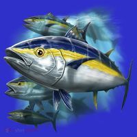 Yellowfin Tuna Swim Coaster thumb 2