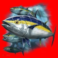 Yellowfin Tuna Swim Santa Hat thumb 1
