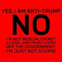 Yes I Am Anti Trump Santa Hat thumb 1