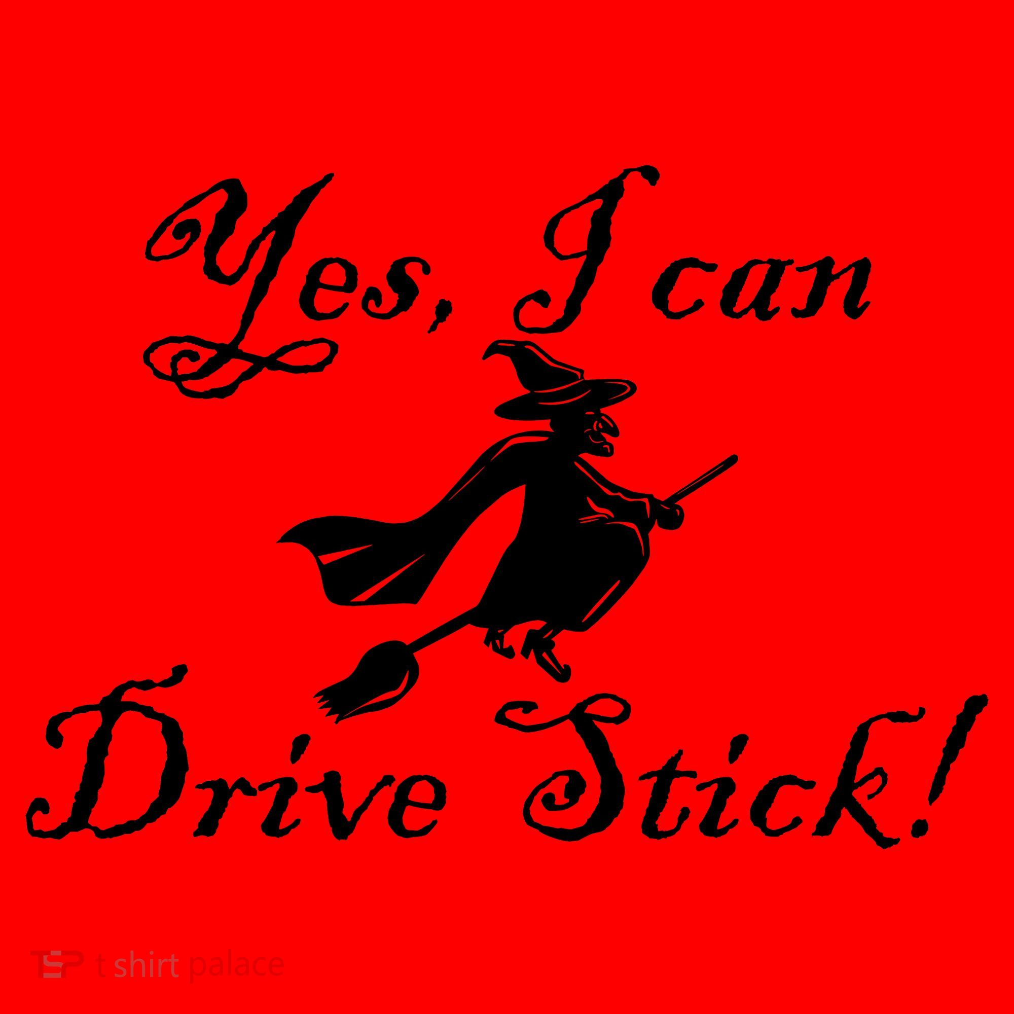 Yes I Can Drive Stick Funny Witch Santa Hat