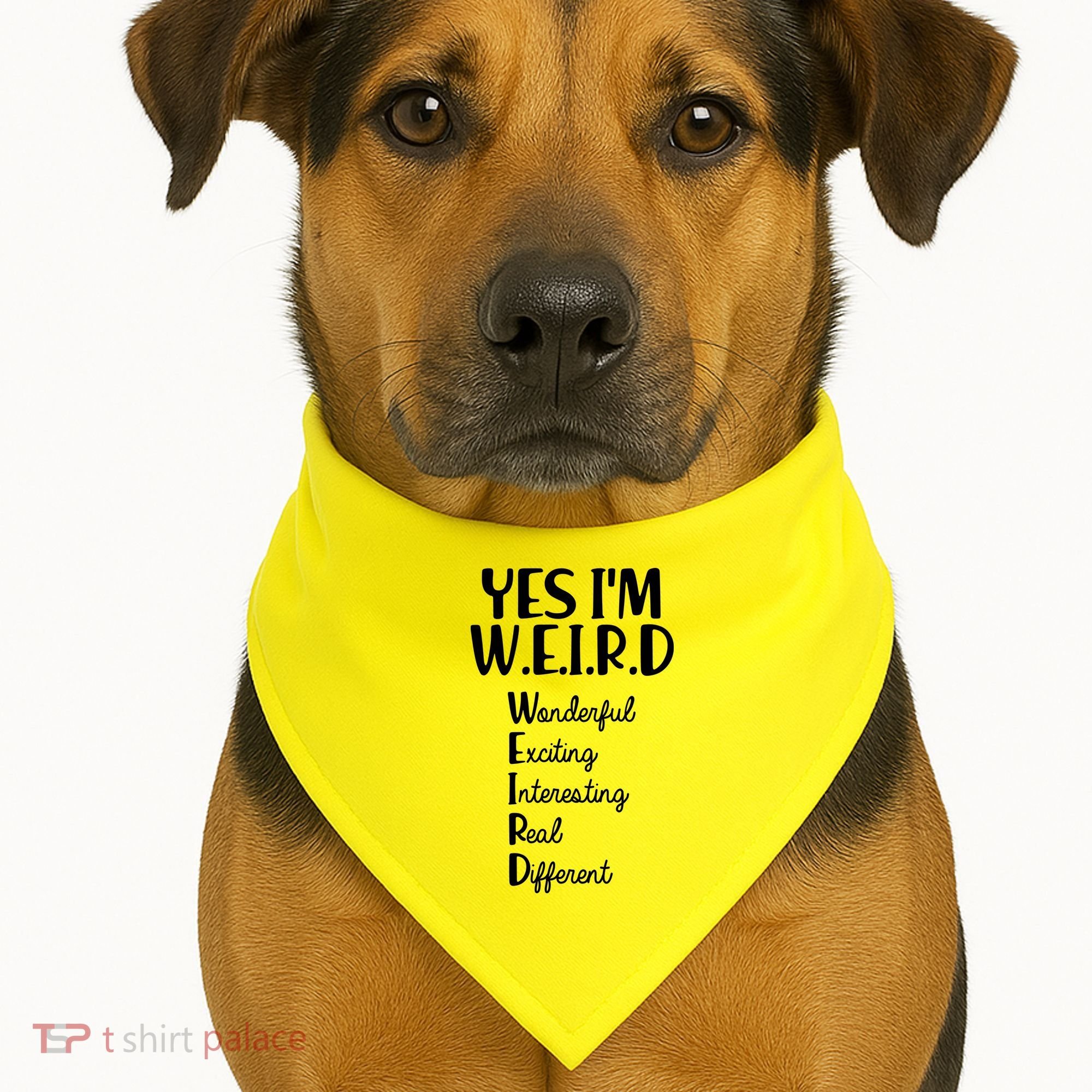 Yes I'm WEIRD USA-Made Doggie Bandana