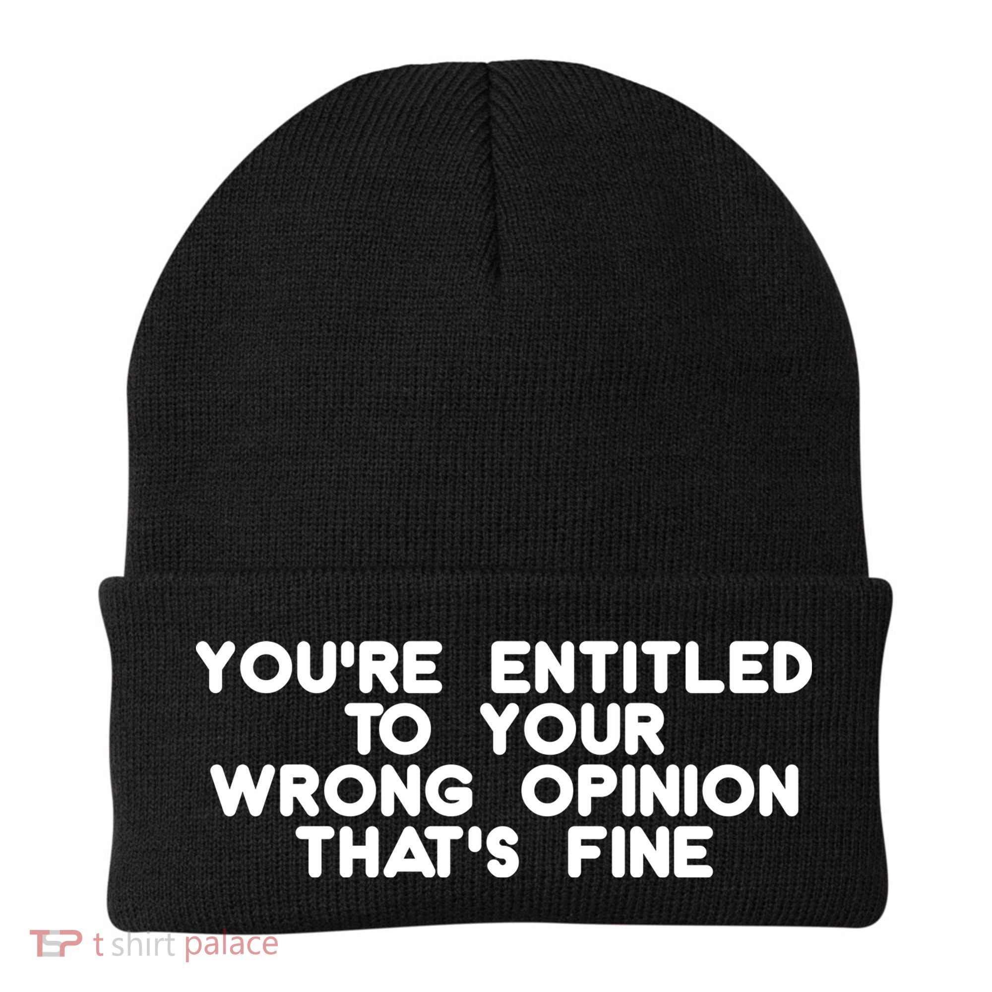 You're Entitled To Your Wrong Opinion That's Fine Funny Gift Beanie