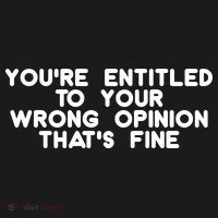 You're Entitled To Your Wrong Opinion That's Fine Funny Gift Polo thumb 3