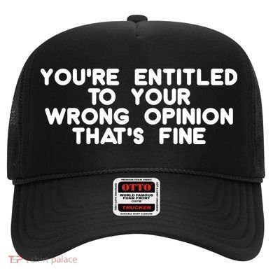 You're Entitled To Your Wrong Opinion That's Fine Funny Gift Hat