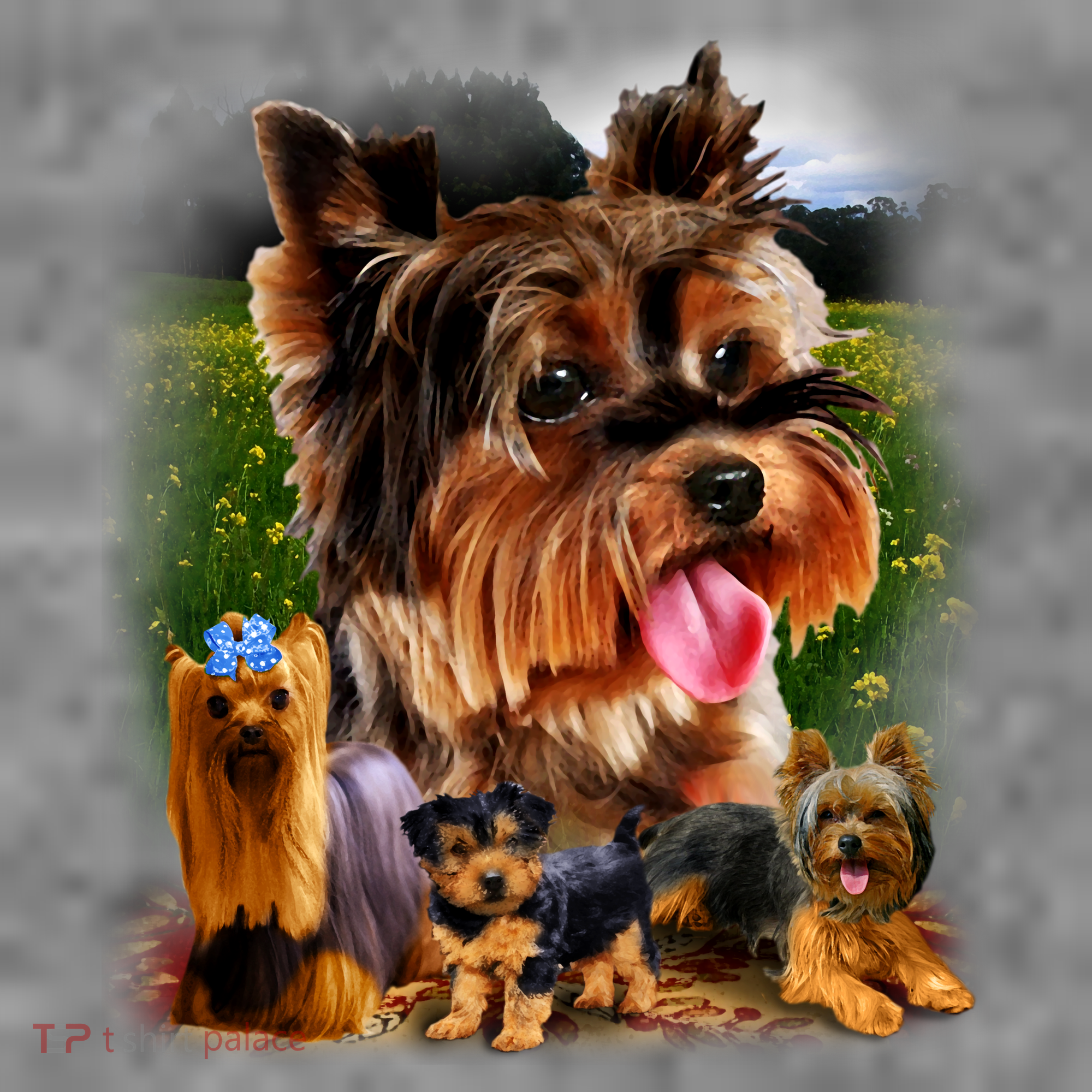 Yorkie Family Of Dogs Portrait Women's T-Shirt