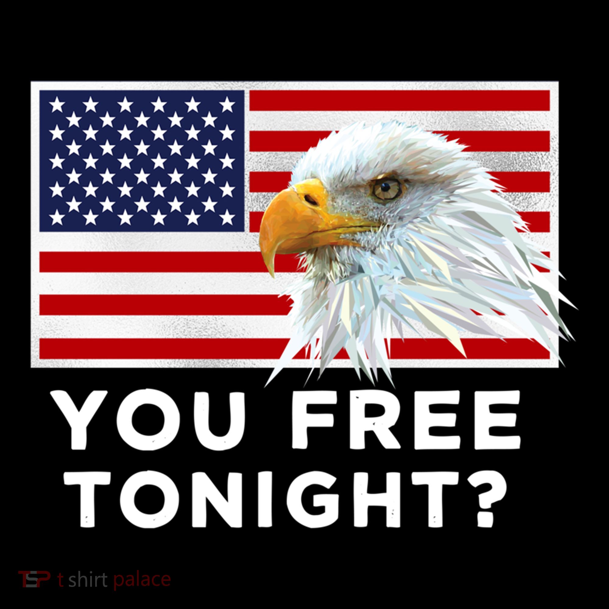 You Free Tonight? American Flag Bald Eagle Patriotic Usa Gift Coffee Mug