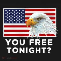 You Free Tonight? American Flag Bald Eagle Patriotic Usa Gift Ornament thumb 1