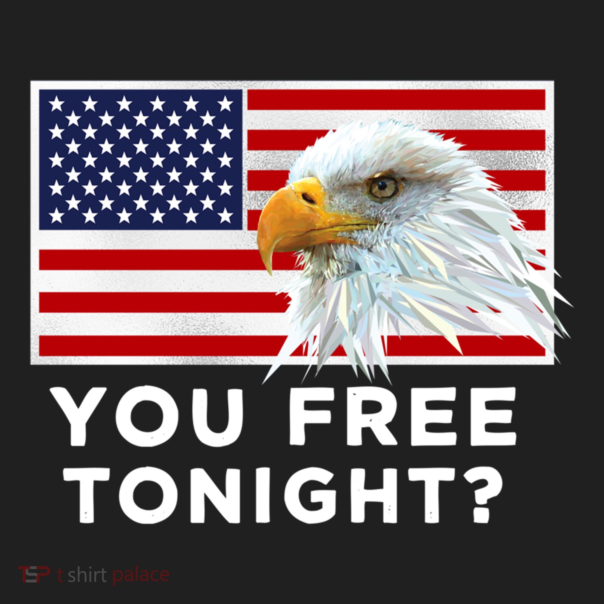 You Free Tonight? American Flag Bald Eagle Patriotic Usa Gift Hat