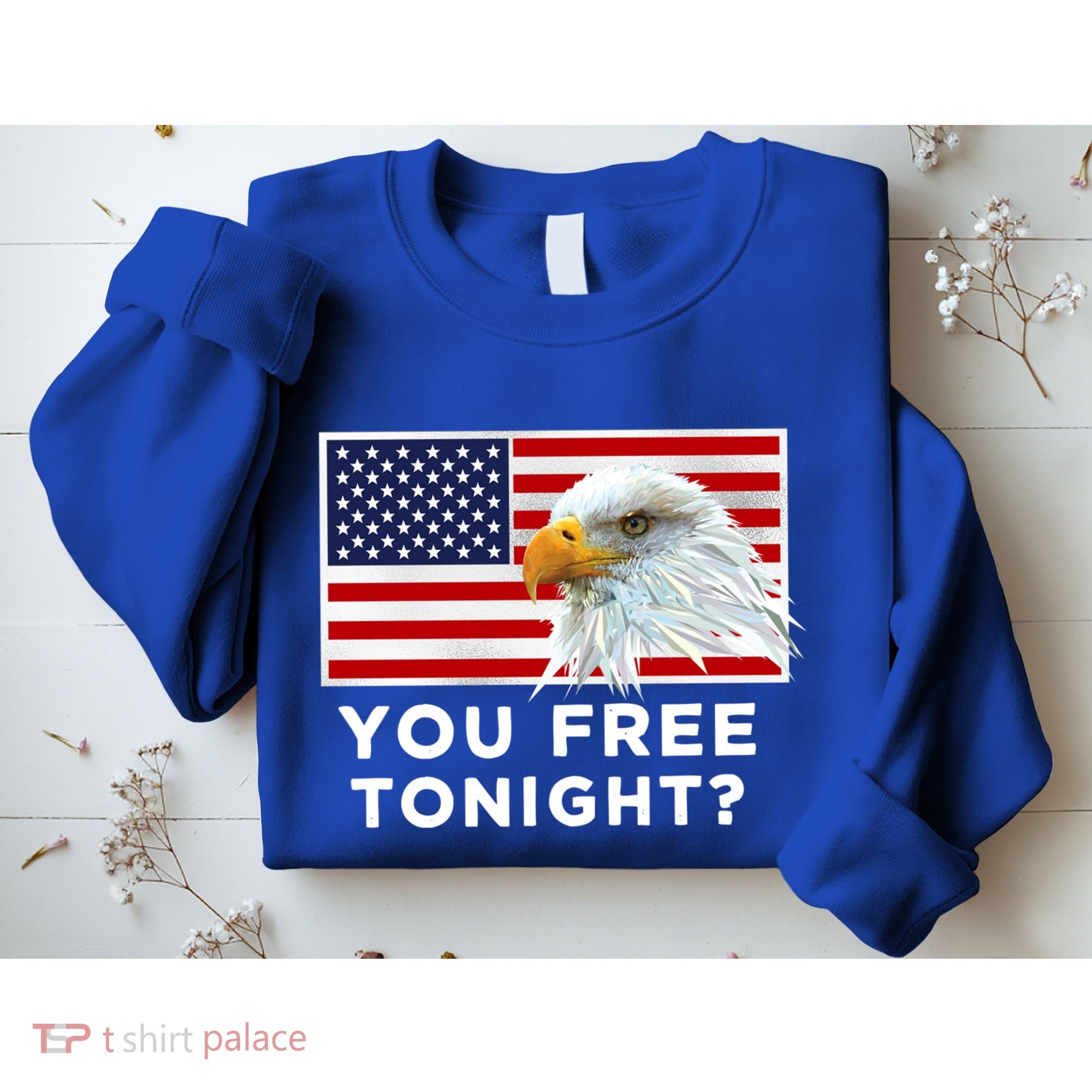 You Free Tonight? American Flag Bald Eagle Patriotic Usa Gift Sweatshirt