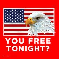 You Free Tonight? American Flag Bald Eagle Patriotic Usa Gift Santa Hat thumb 1