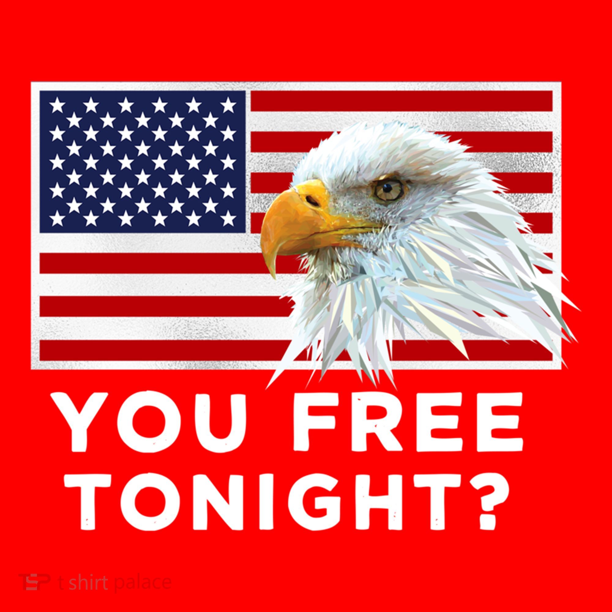 You Free Tonight? American Flag Bald Eagle Patriotic Usa Gift Santa Hat