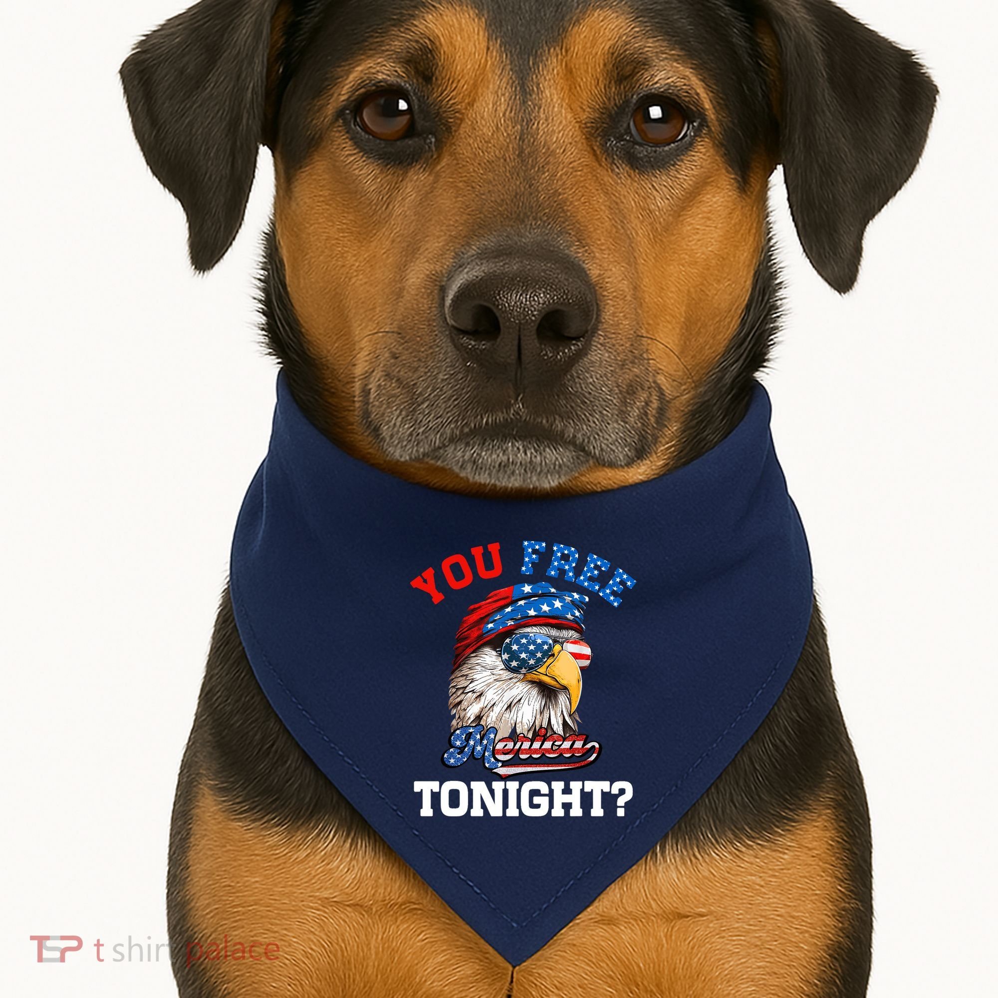 You Free Tonight Usa Flag Bald Eagle 4th Of July USA-Made Doggie Bandana