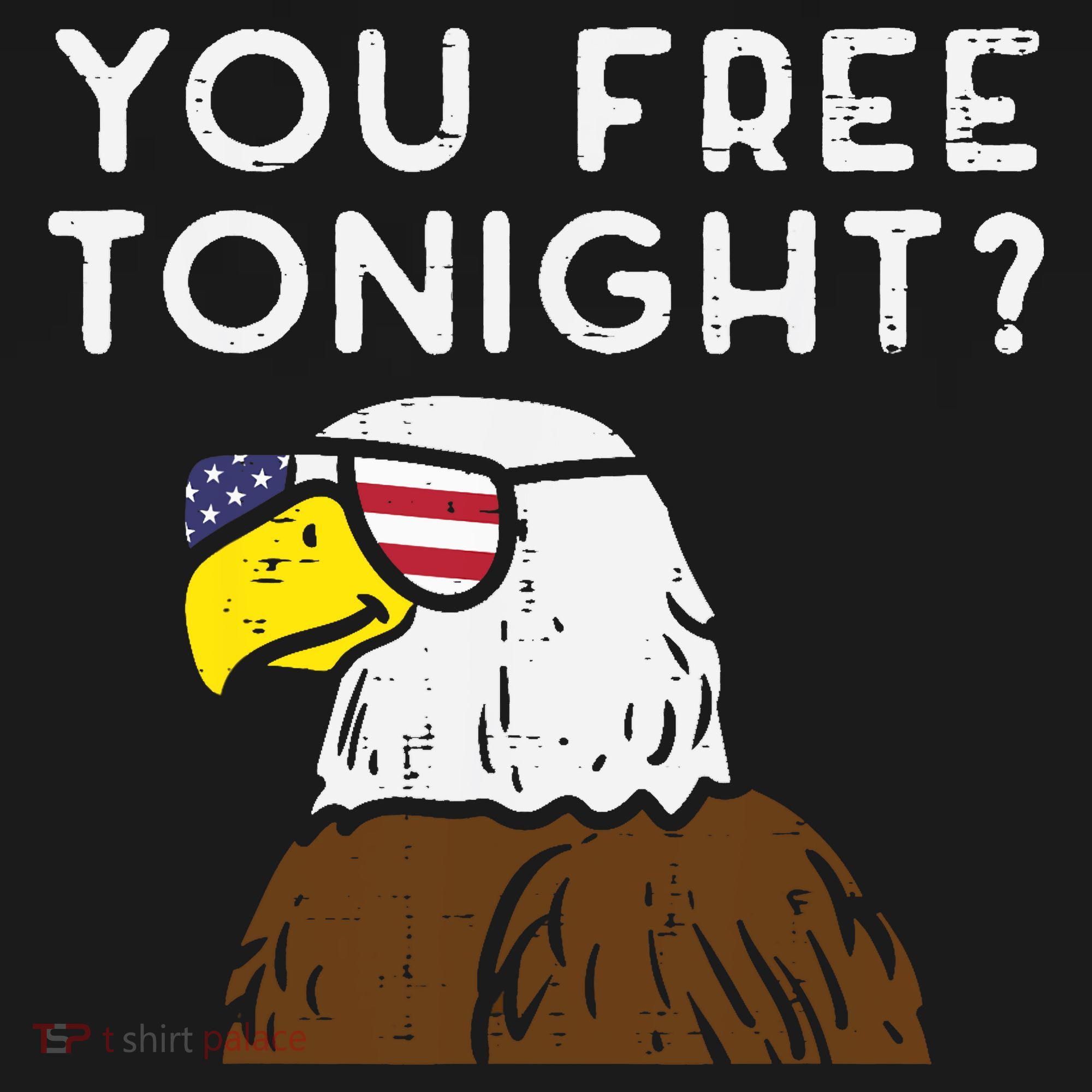 You Free Tonight Bald Eagle US Flag Sunglasses 4th of July Sweatshirt