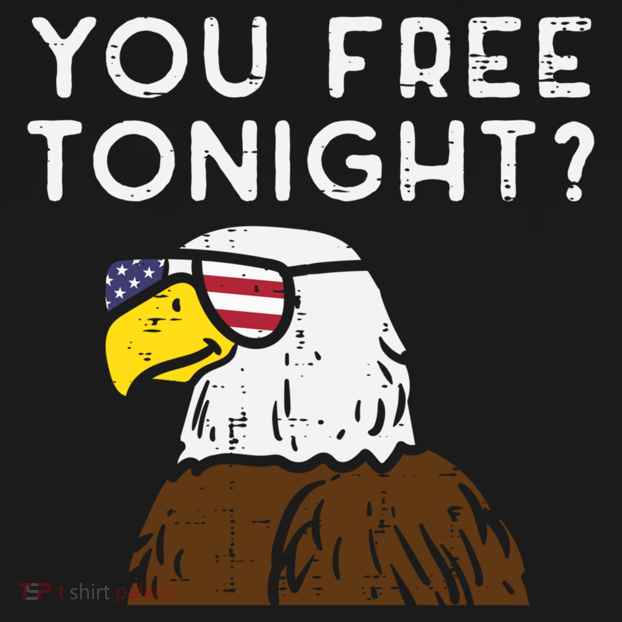 You Free Tonight Bald Eagle Us Flag Sunglasses 4th Of July Gift Women's Hoodie