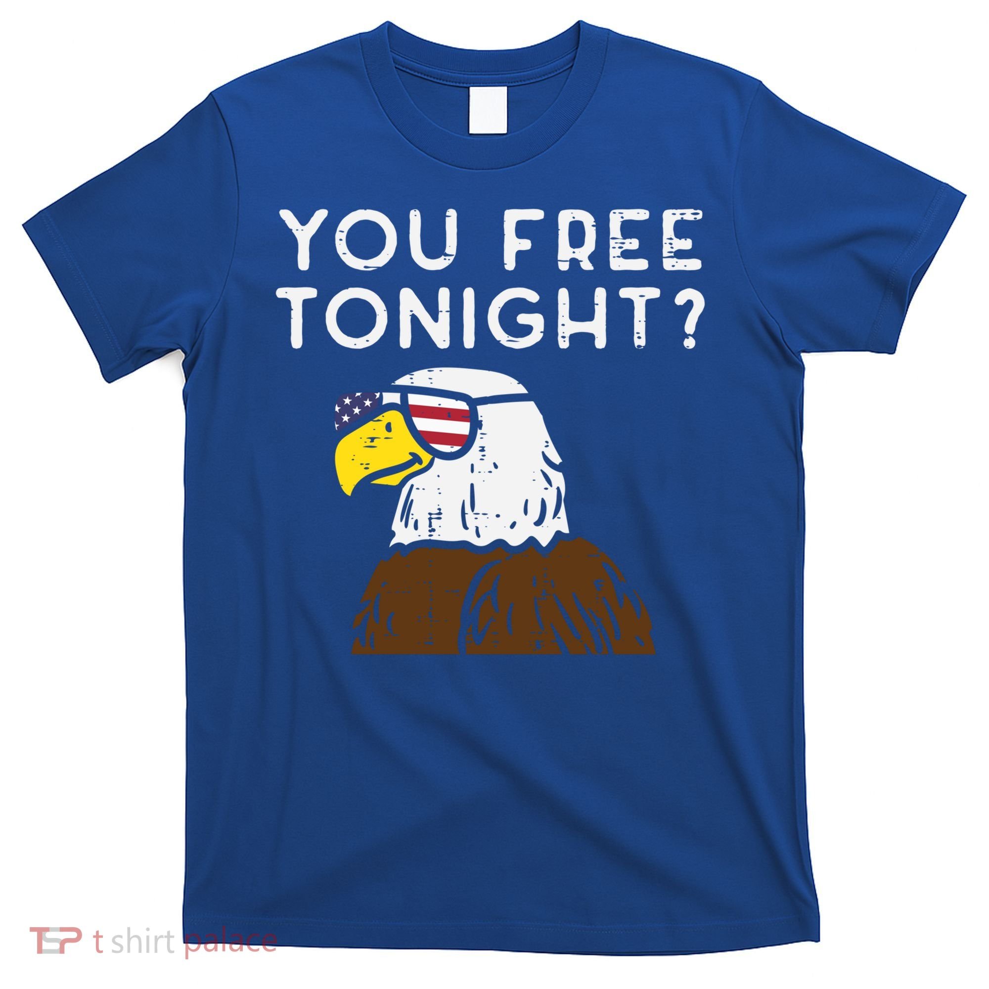You Free Tonight Bald Eagle Us Flag Sunglasses 4th Of July Gift T-Shirt