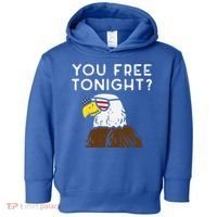 You Free Tonight Bald Eagle Us Flag Sunglasses 4th Of July Gift Toddler Hoodie thumb 0