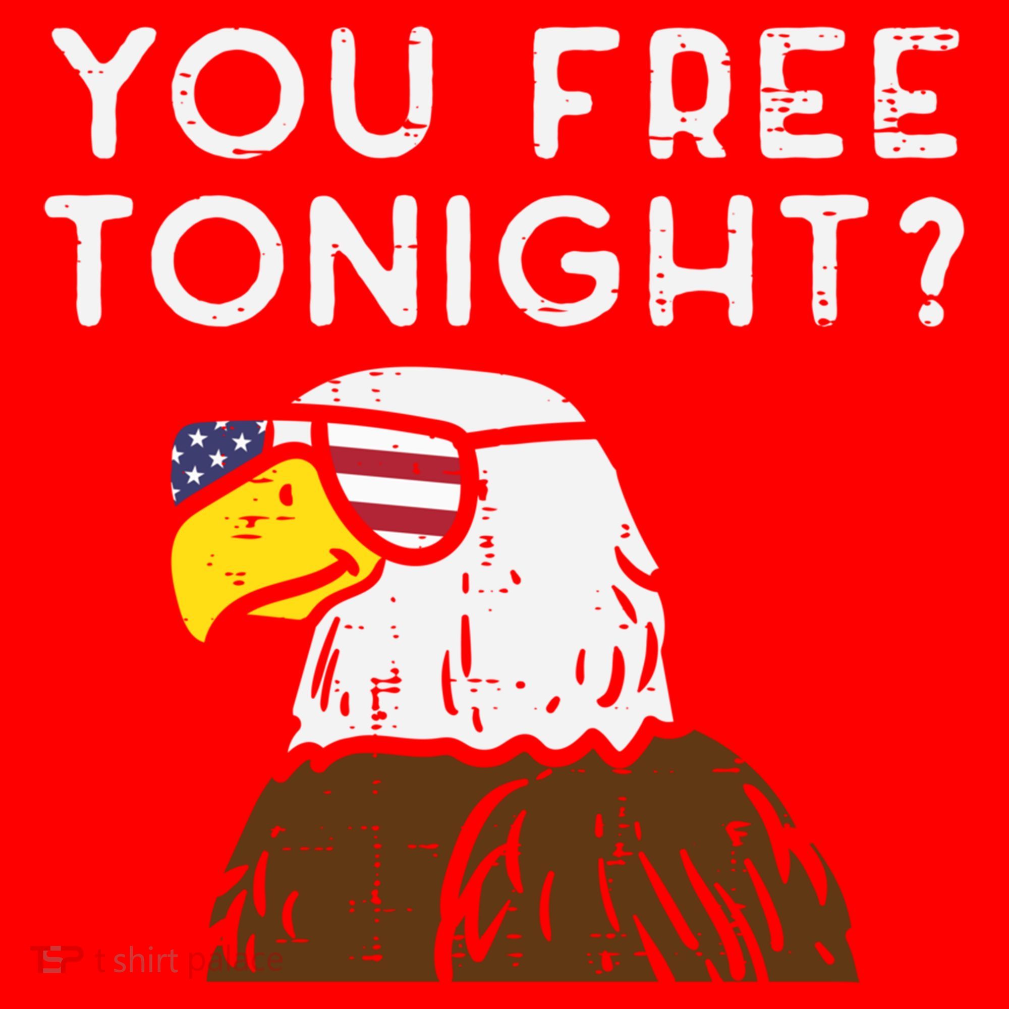 You Free Tonight Bald Eagle Us Flag Sunglasses 4th Of July Gift Santa Hat