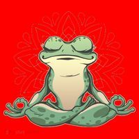 Yoga Frog Santa Hat thumb 1