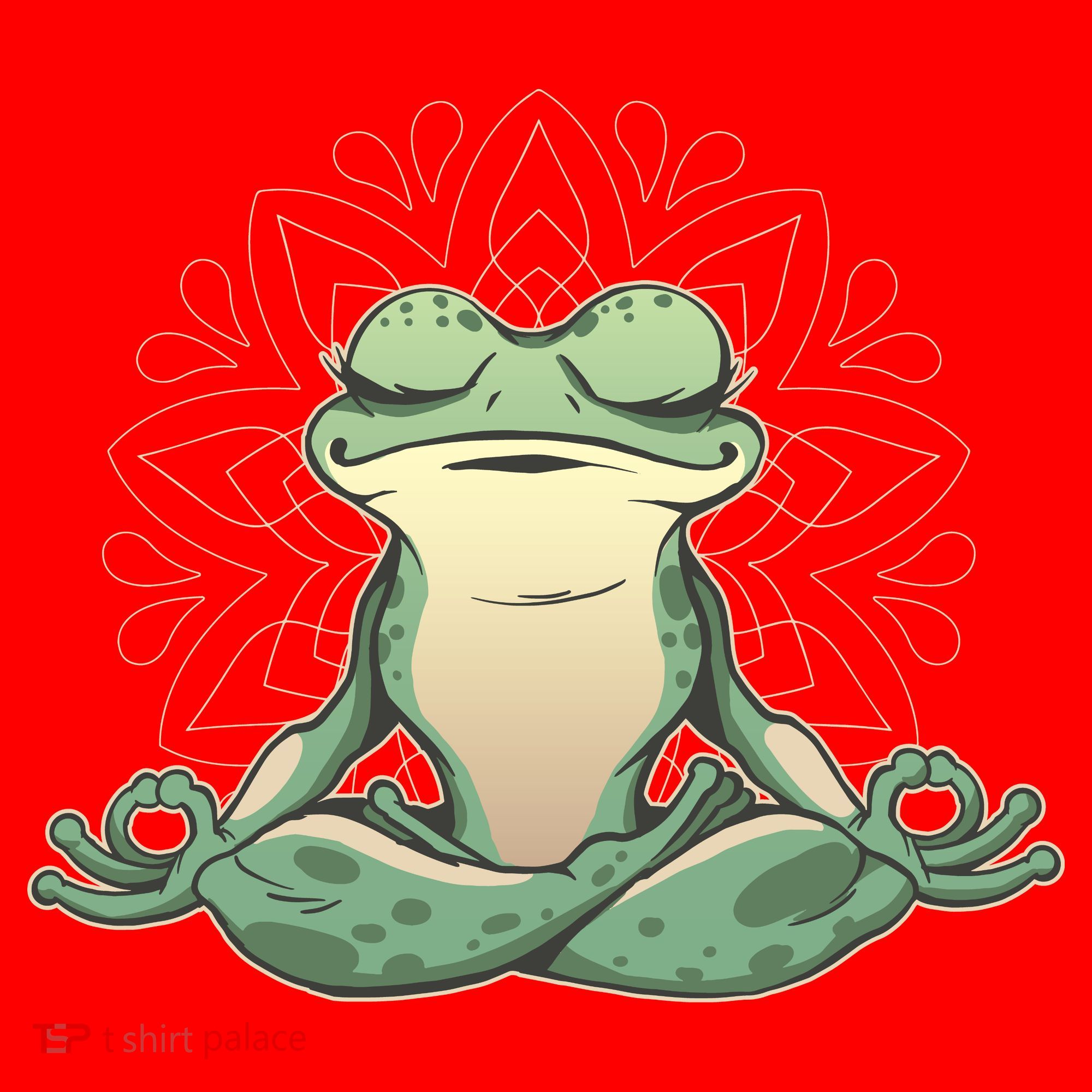 Yoga Frog Santa Hat