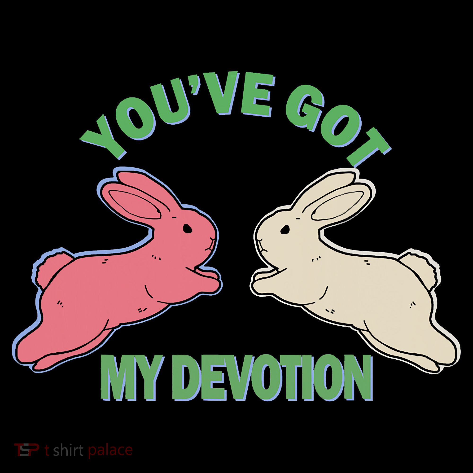 You've Got My Devotion Rabbit Cute Trending Gift Idea Long Sleeve Shirt