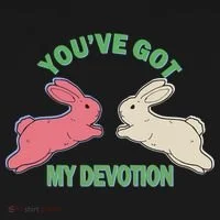 You've Got My Devotion Rabbit Cute Trending Gift Idea Women's T-Shirt thumb 6