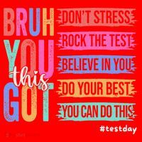 You Got This DonT Stress Rock The Test Test Day Santa Hat thumb 1