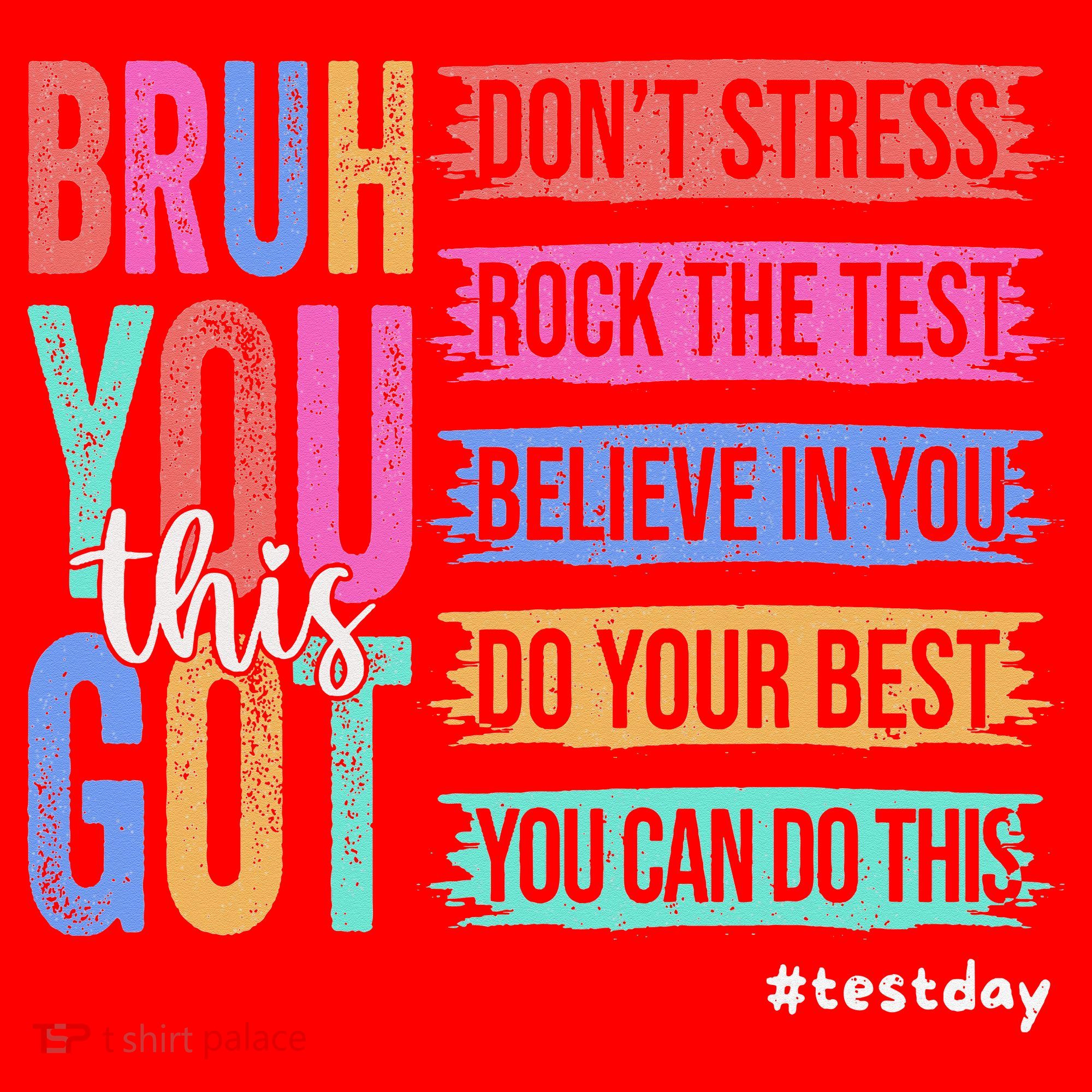 You Got This DonT Stress Rock The Test Test Day Santa Hat
