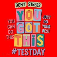 You Got This DonT Stress Rock The Test Test Day Santa Hat thumb 1