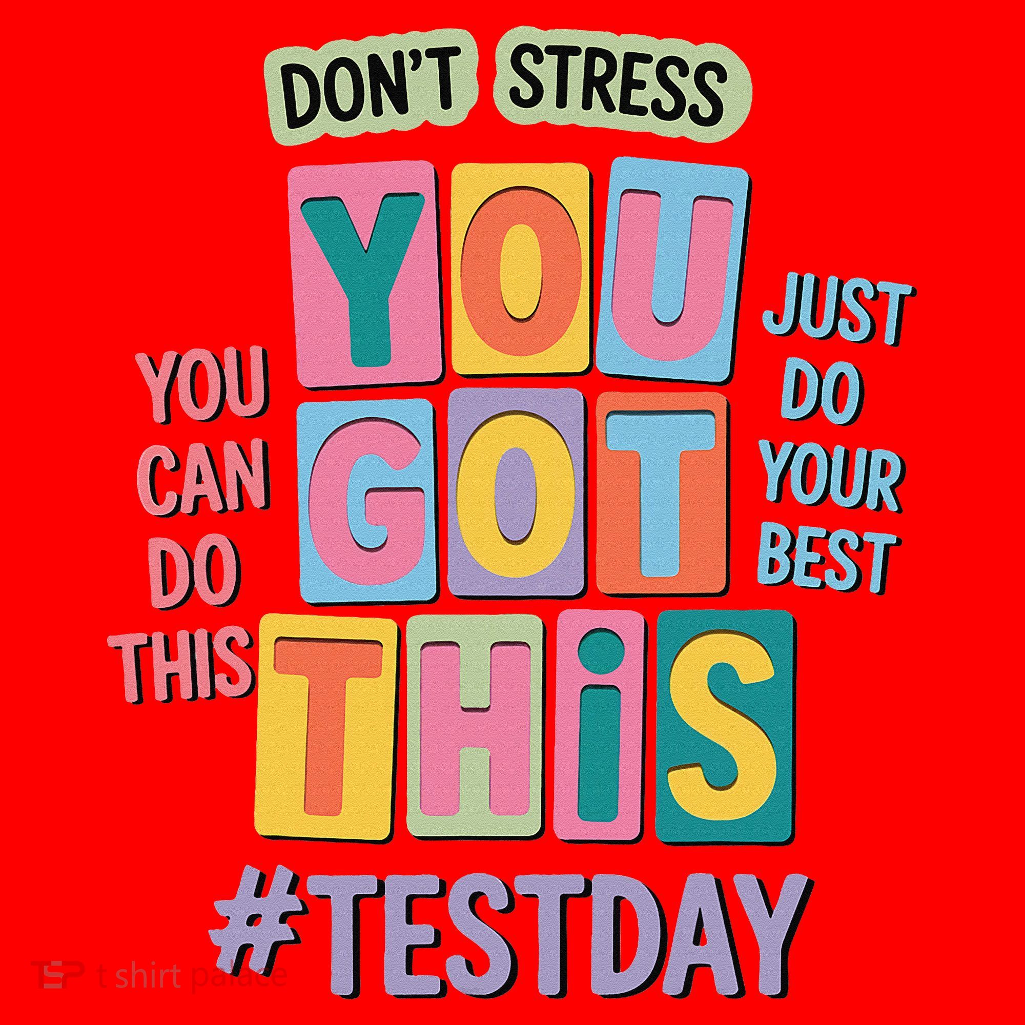 You Got This DonT Stress Rock The Test Test Day Santa Hat