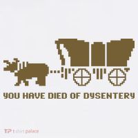 You Have Died Of Dysentery Oregon Trail Women's T-Shirt thumb 6