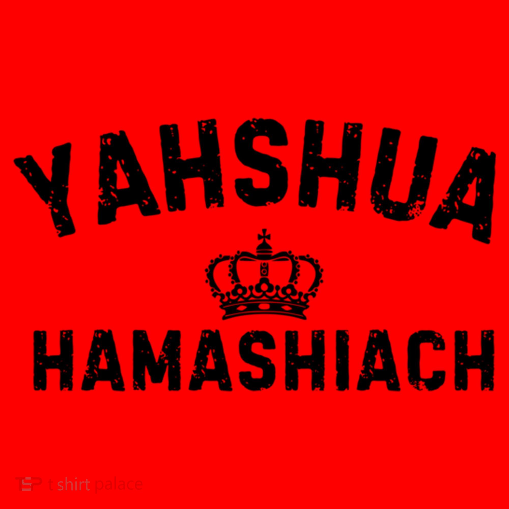 Yeshua Hamashiach Hebrew Messiah Jesus Funny Gift Santa Hat