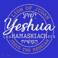 Yeshua Hamashiach Jesus The Messiah Hebrew Lion Of Judah Funny Gift T-Shirt thumb 7