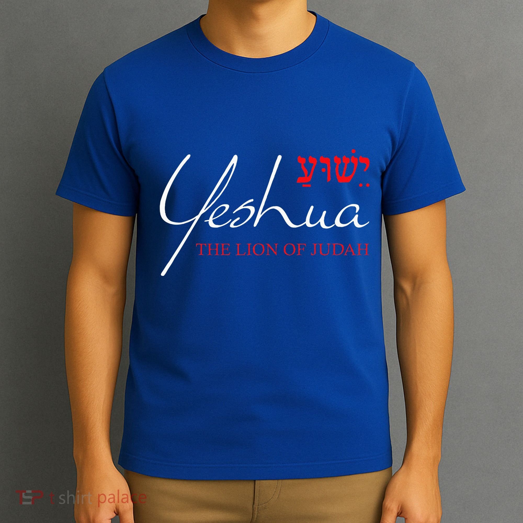 Yeshua Hebrew Lion Of Judah Christian T-Shirt