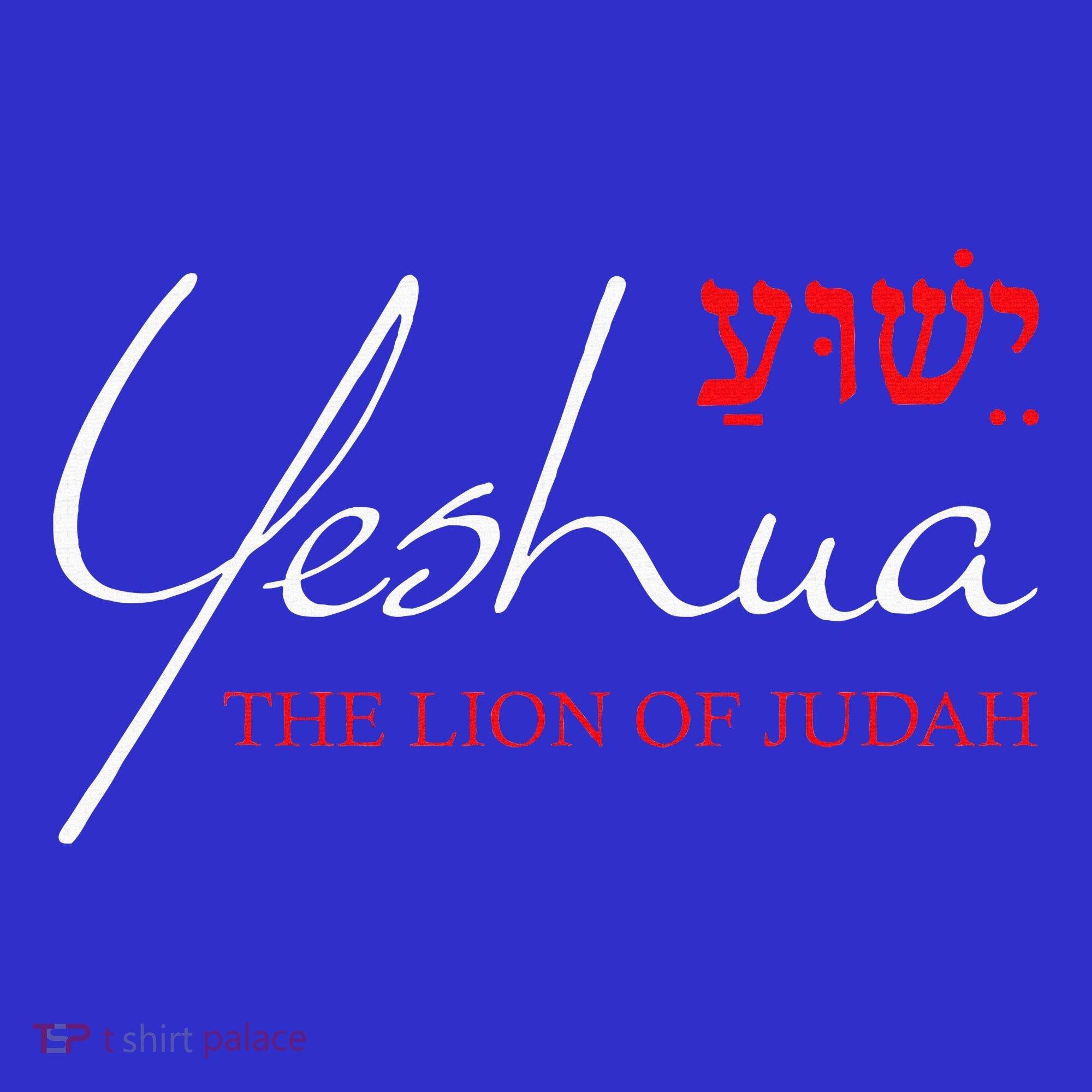 Yeshua Hebrew Lion Of Judah Christian T-Shirt