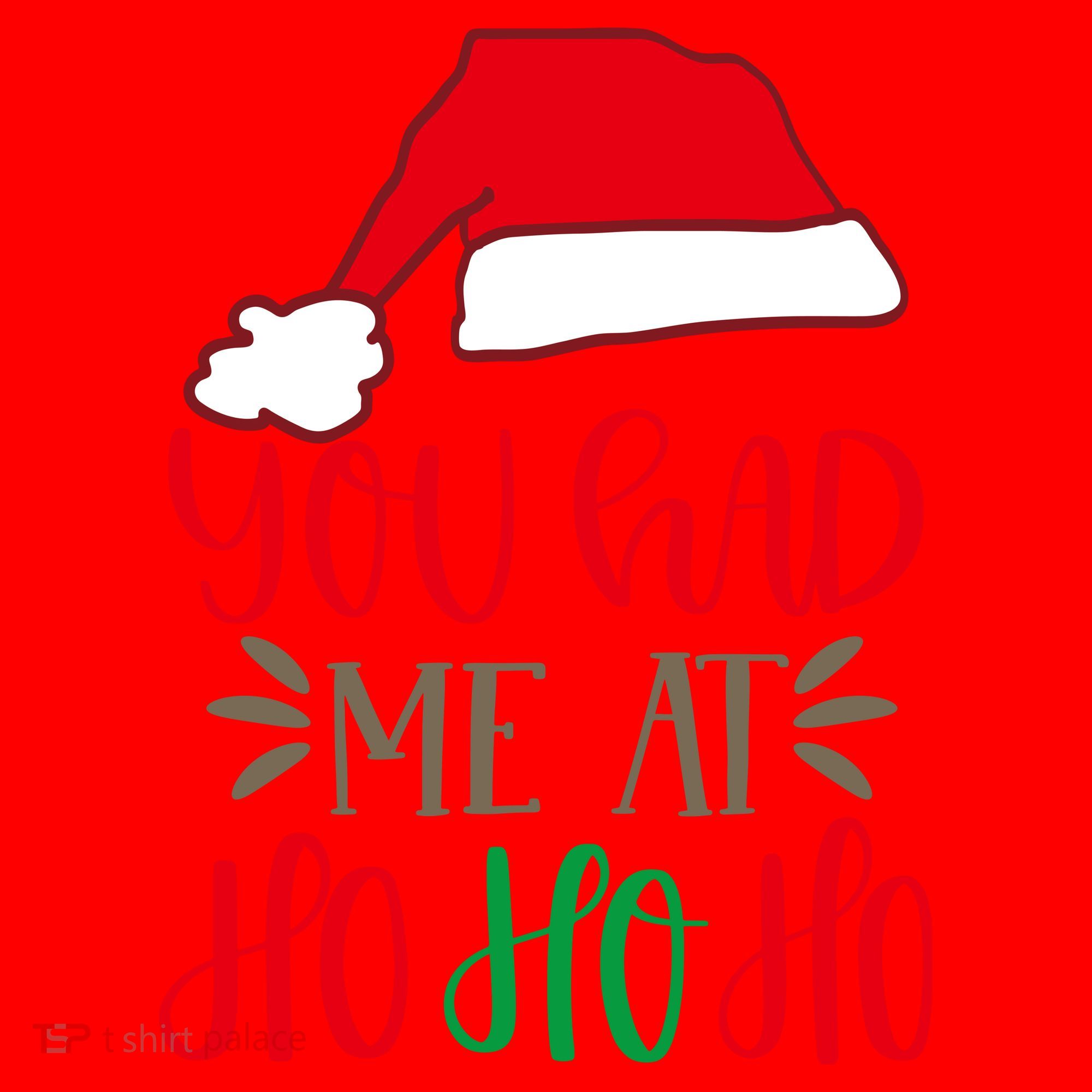 You Had Me At Ho Ho Ho Santa Hat