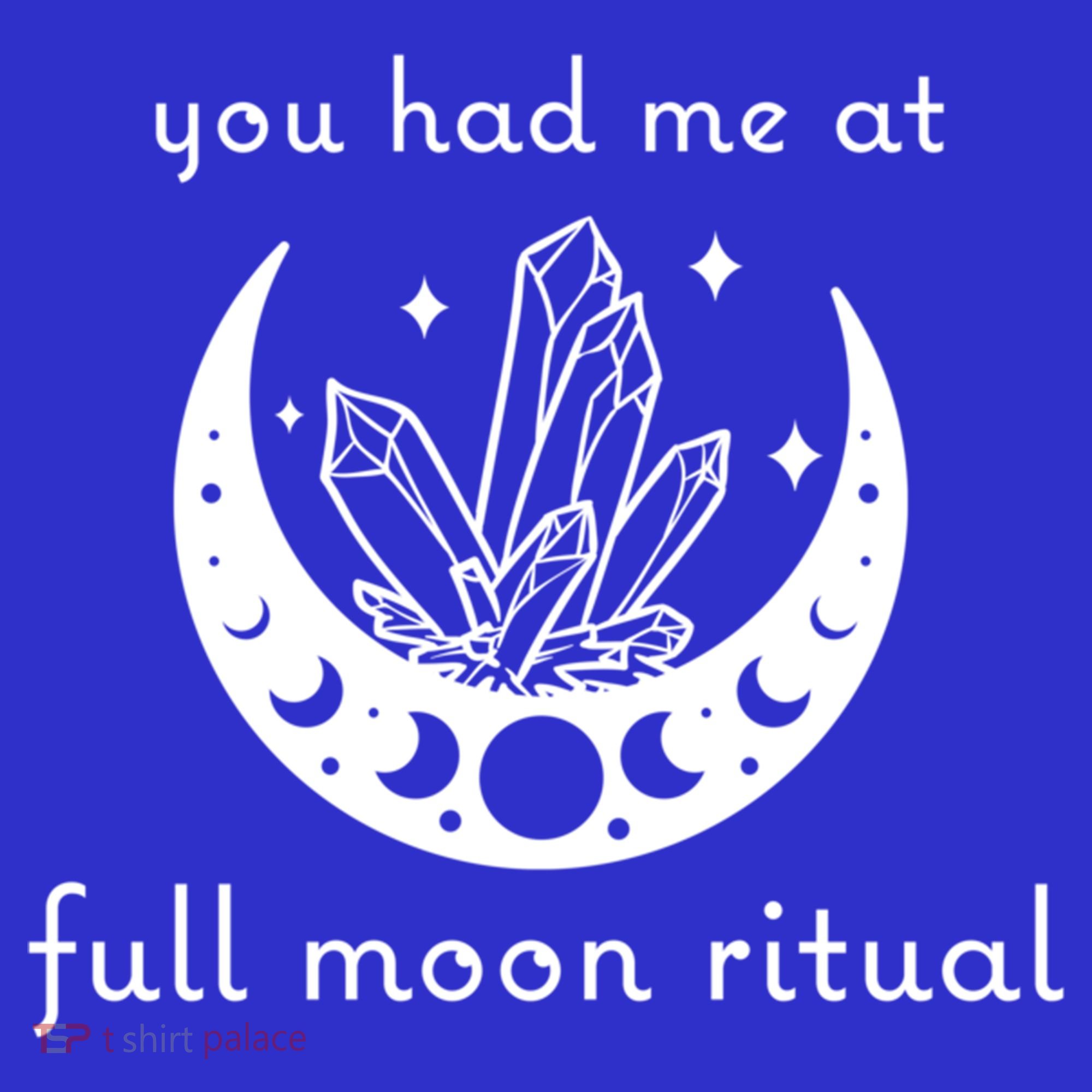 You Had Me At Full Moon Ritual Moon Phase Witch Tarot Gift Hoodie