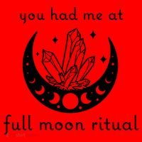 You Had Me At Full Moon Ritual Moon Phase Witch Tarot Gift Santa Hat thumb 1
