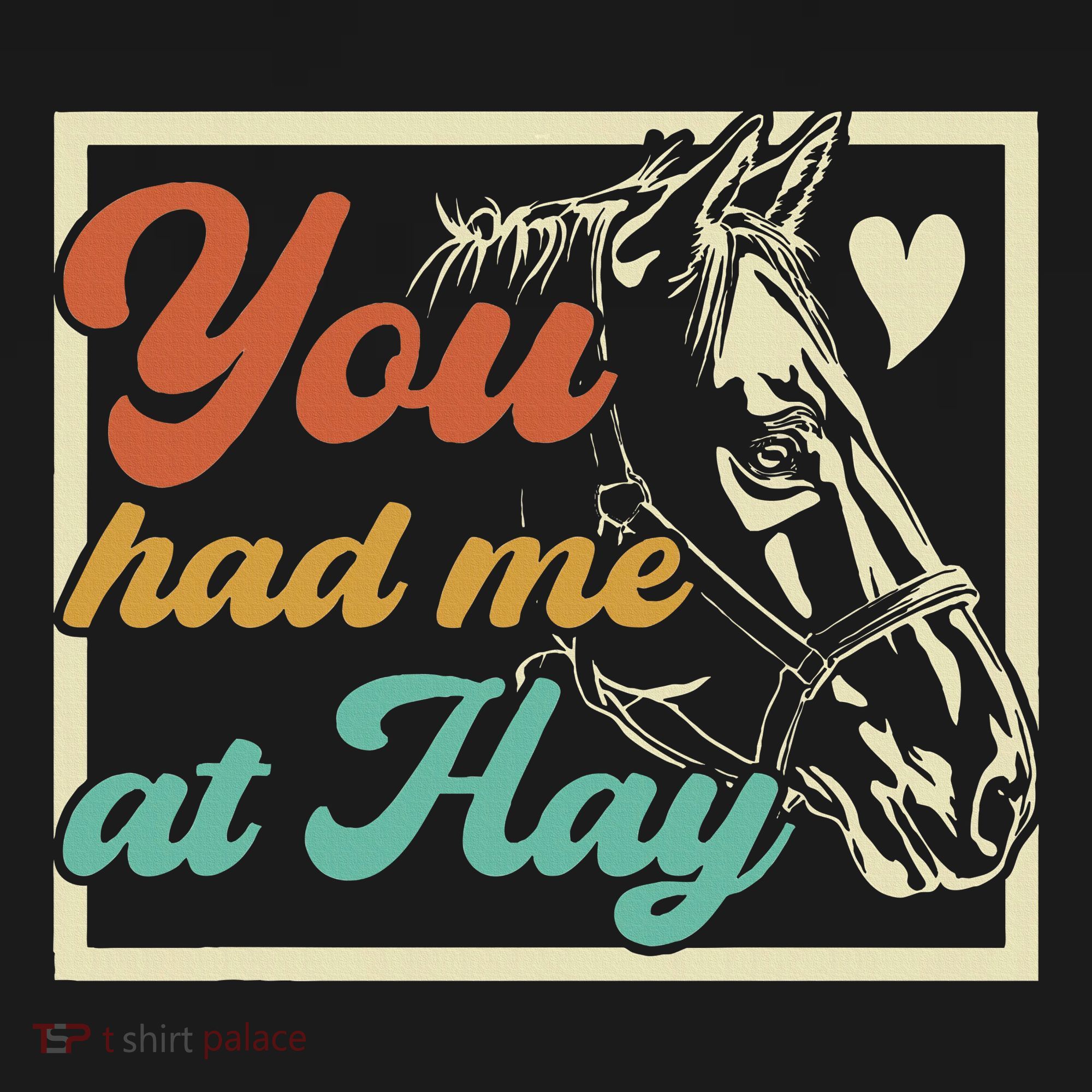 You Had Me At Hay Horse Pony Equestrian Horseback Riding T-Shirt