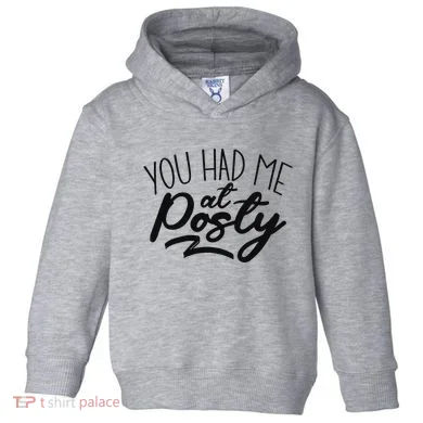 Toddler Hoodie