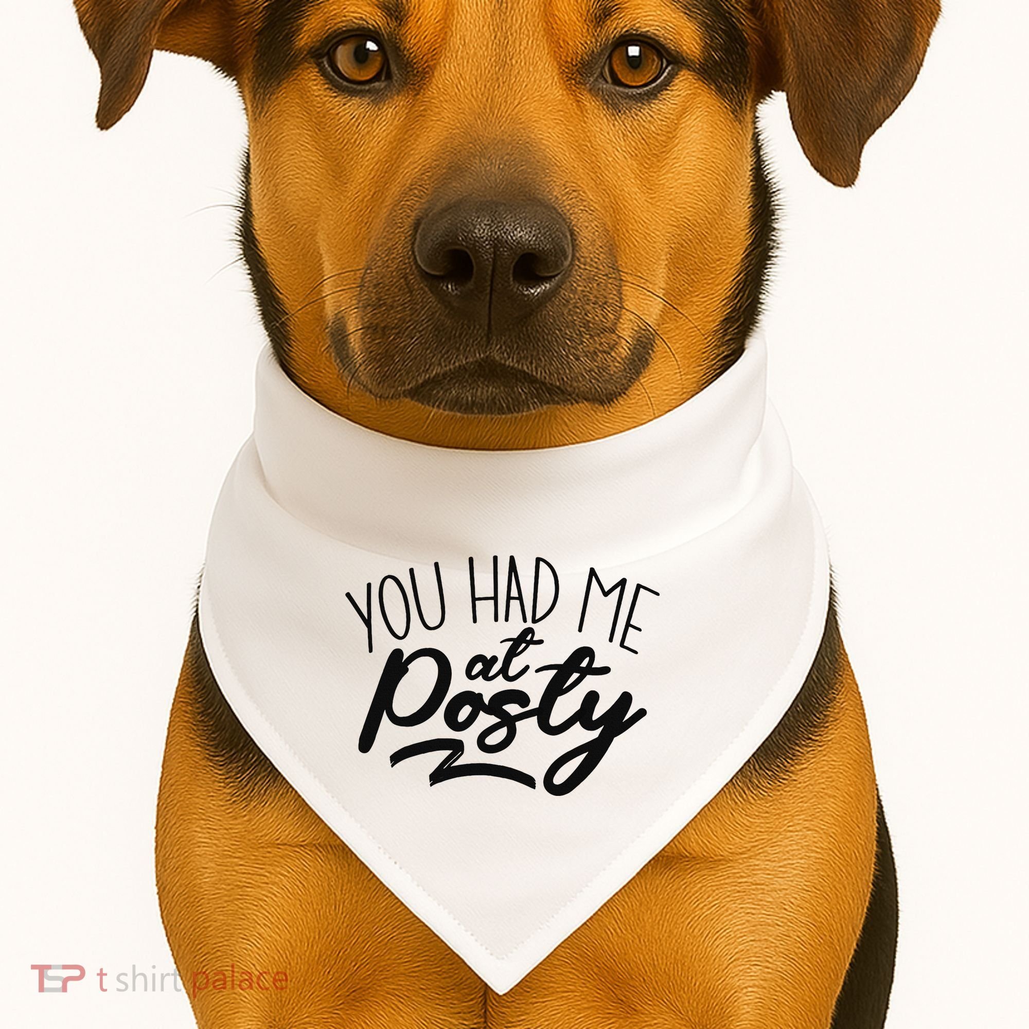 You Had Me At Posty USA-Made Doggie Bandana
