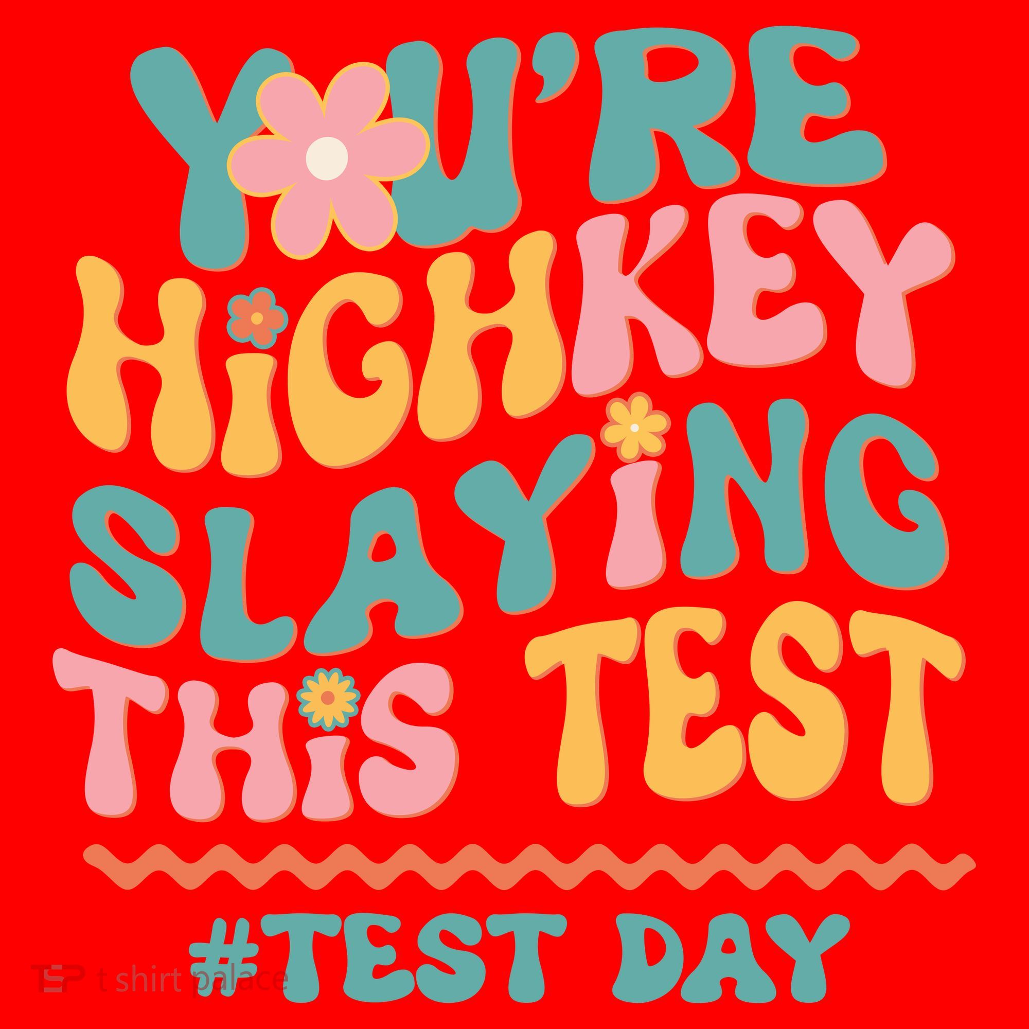 You're Highkey Slaying This Test # TEST DAY Santa Hat