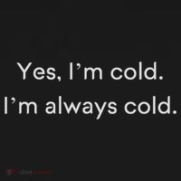 Yes I'm Always Cold Novelty Gift Ornament thumb 1