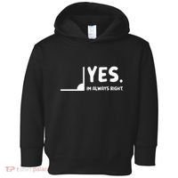 Yes Im Always Right Math Teacher Toddler Hoodie thumb 0