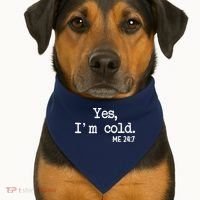 Yes I'm Cold Me 24-7  USA-Made Doggie Bandana thumb 1